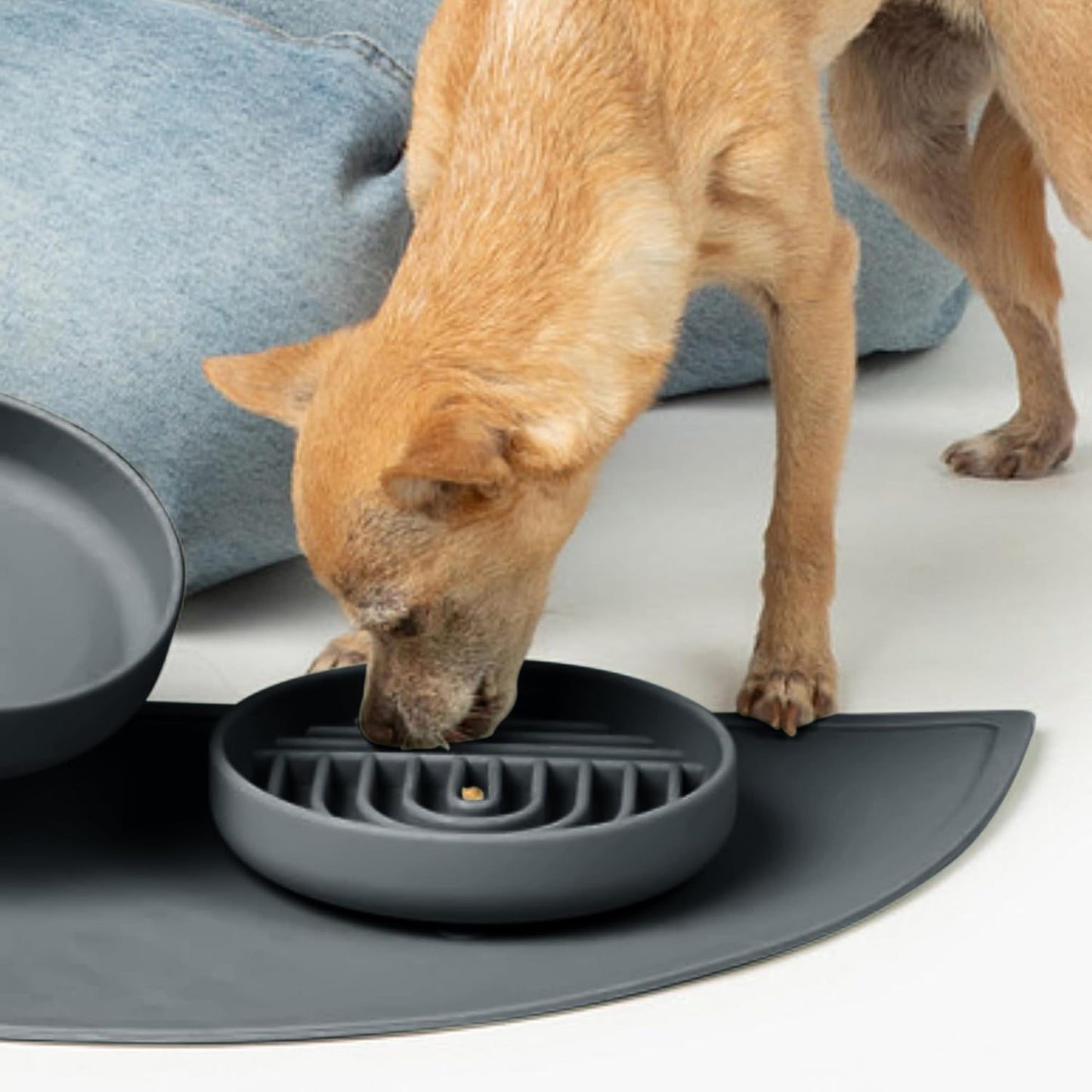 Should We Go? Slow Feeder for Dogs & Puppies, The Slowdown Bowl Silicone Slow Eating, Modern Lick Mat Design, Reduces Gulping, Fits 2 Cups, 7.5” Across x 1.5” Tall, Mealtime Challenge, Medium-Blush