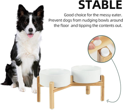 Havniva 8.3” Dog Bowls Elevated Ceramic Dog Food and Water Bowl, Raised Dog Water Bowl with Stand Non-Slip Rubber Base Large Capacity Feeding Pet Food Bowl for Large Dogs