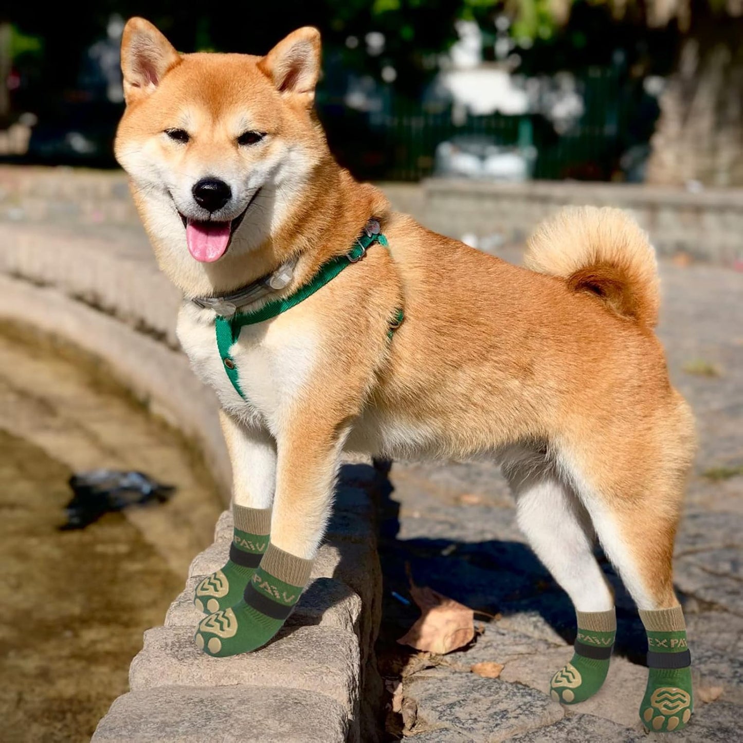EXPAWLORER 6Pcs Anti-Slip Dog Socks to Prevent Licking Paws,Dog Shoes for Hot Pavement,Dog Booties Traction Control on Hardwood Floor,Boots & Paw Protectors, for Puppy Small Medium Large Senior Dogs