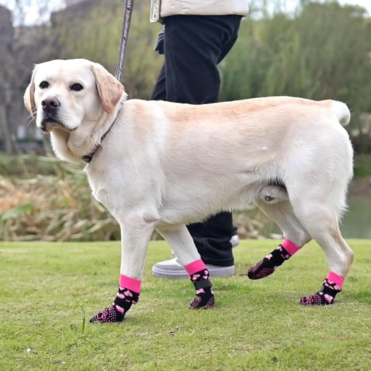 KOOLTAIL Dog Socks Shoes for Hot Pavement to Prevent Licking Paws, Winter Dog Boots&Paw Protector for Hardwood Floors Anti Slip,Traction Control Grip Booties for Small Medium Large Senior Dogs,Black M