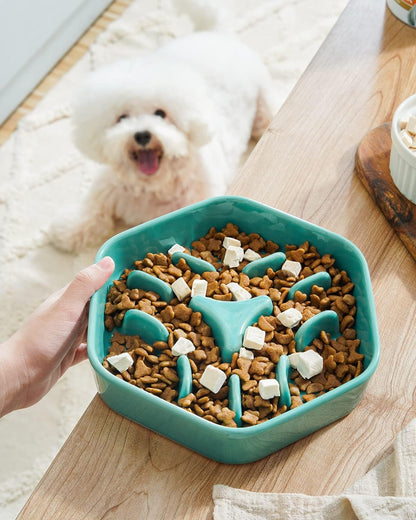 Slow Feeder Dog Bowl - 1.5 Cups Ceramic Puzzle Feeder for Small & Medium Breeds, Maze Design Bowl for Puppy & Fast Eaters, White Pet Dish to Control Eating Speed