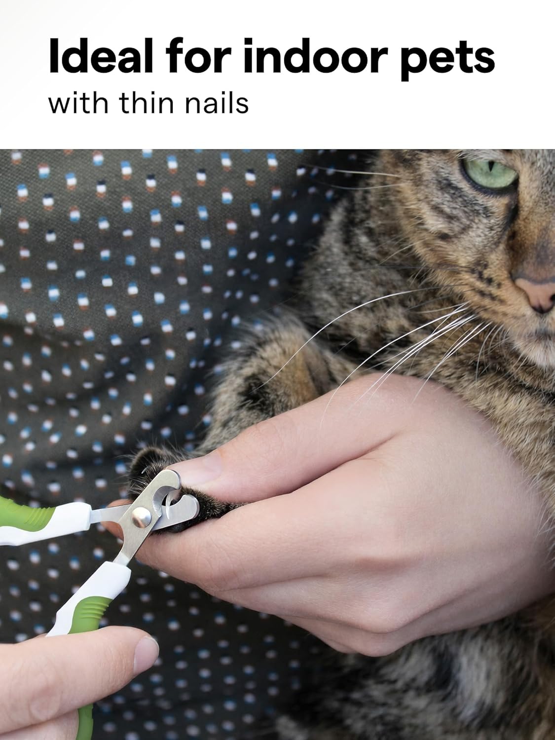 Pet Nail Clippers for Indoor Cats & Small Animals - Precision Angled Blades & Steady Grip - Ideal for Kittens Tiny Dogs Rabbits Birds - Nail Trimmer & Claw Scissors for Home Grooming - eBook + App