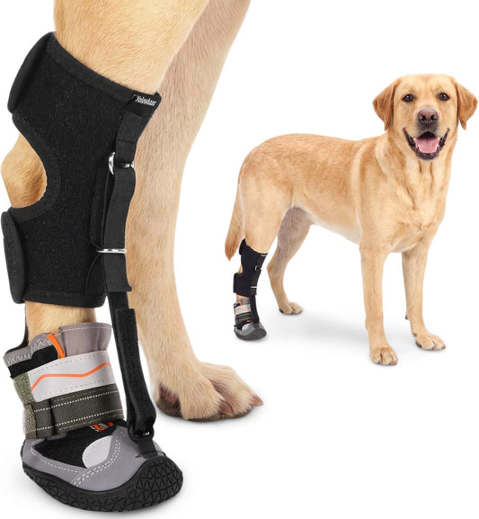 Drop Foot Brace & No Knuckling Boot Brace for Dogs, Adjustable Toe Grips for Senior Dogs Stop Dragging, Dog Recovery Boot for Injured Paw, Dog Splint for IVDD, Arthritis, Senior Mobility(M)