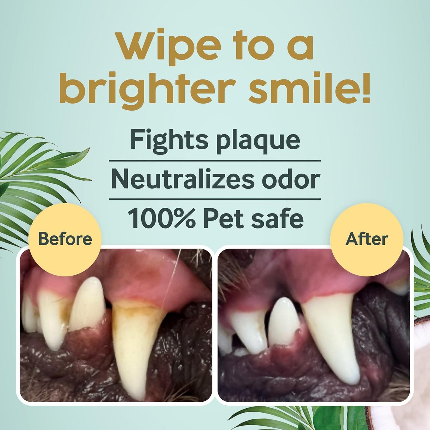 Cocopup Dog Teeth Cleaning Wipes | Pet Dental Finger Wipes | Dogs and Cats Tooth Cleaning Pads Plaque Remover Ear Nose Paws Fur Cleaners | Contains Coconut Oil | 1 Pack of 50