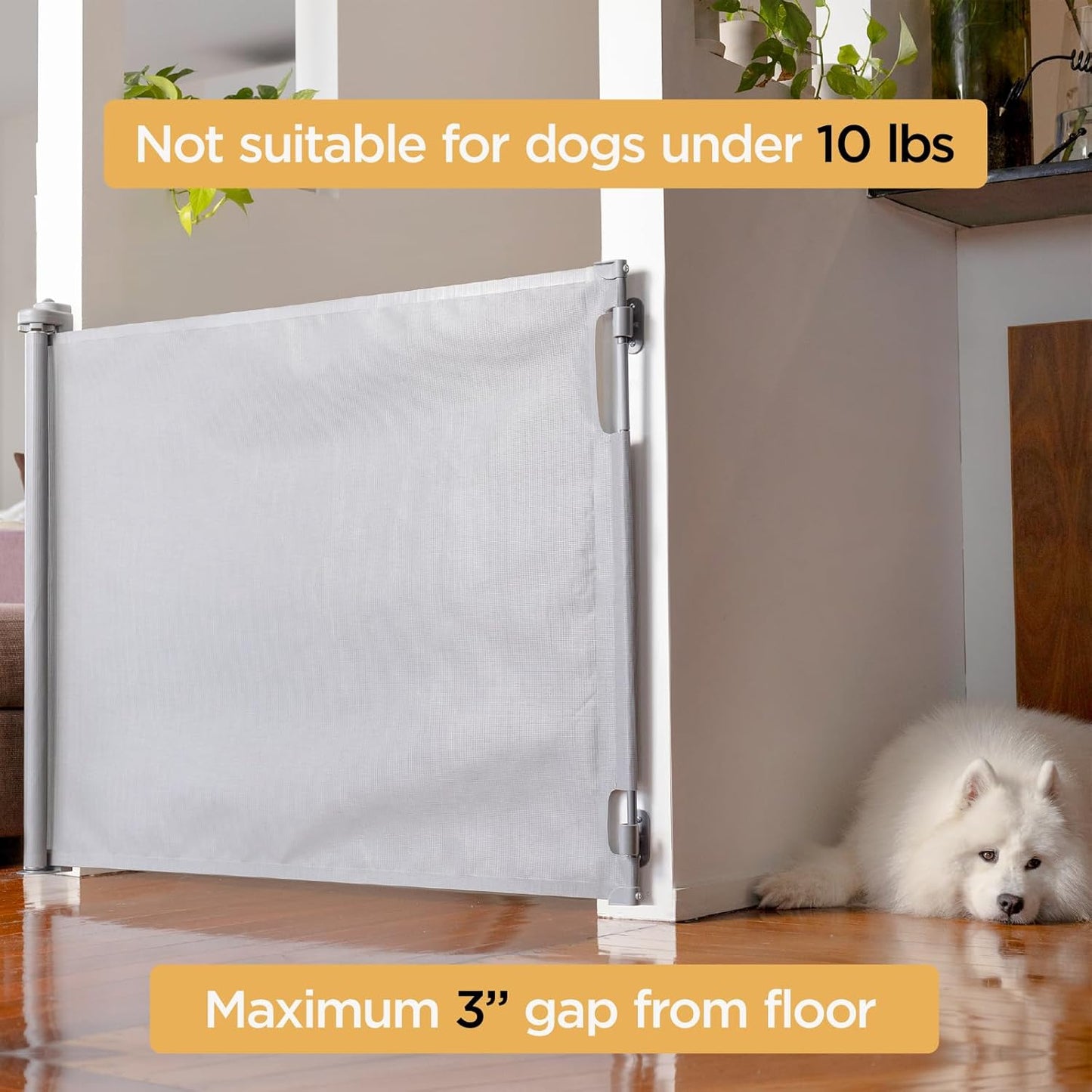Hakuna Pets Indoor/Outdoor Paw Proof Retractable Dog Gate, 36.6" Tall Extends to 71" Wide, Black