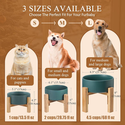 Elevated Ceramic Cat Bowl - Cat Food Bowl with Bamboo Stand - Raised Dog Dish for Puppies - Anti Vomiting, Stress Free - 13.5 oz / 400 ml - White