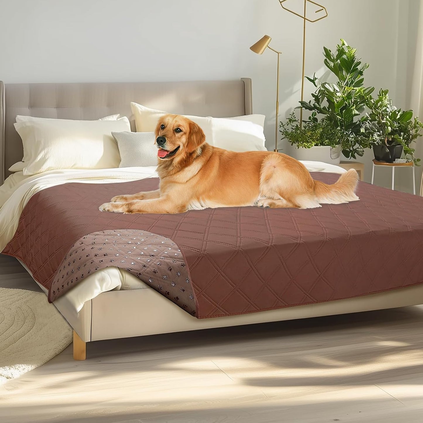 Luciphia 100% Waterproof Couch Cover Blanket for Dogs Anti-Slip Pet Couch Protector Sofa Mat Puppy Cat with Non-Slip Bottom, Grey, 30x70 Inch