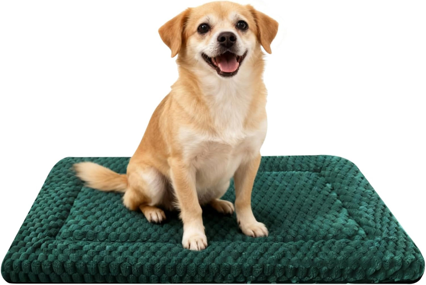 Dog Bed Mat, Reversible Crate Pad & Cute Dog Bed - Machine Washable Kennel Mat with Ultra Soft for Small Dogs (Cool/Warm), 24" x 18", Grey&Star