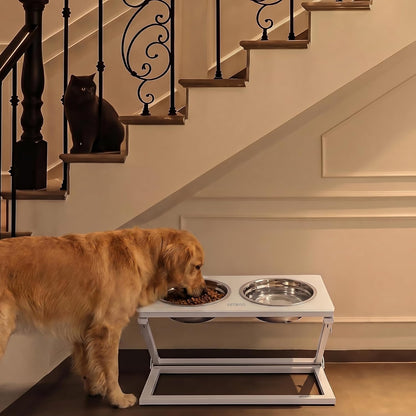 Elevated Dog Bowls, Adjustable Raised Dog Bowl Stand with 2 Stainless Steel Food Bowls 20°Tilted Water Bowls for Medium Small Sized Dogs (Black, Medium)