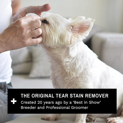 Eye Envy Dog Tear Stain Remover Starter Kit with ProPowder Brush | Stain Solution, Applicator Pads, Stain Powder and Small Applicator Brush | Lasts 30-45 Days