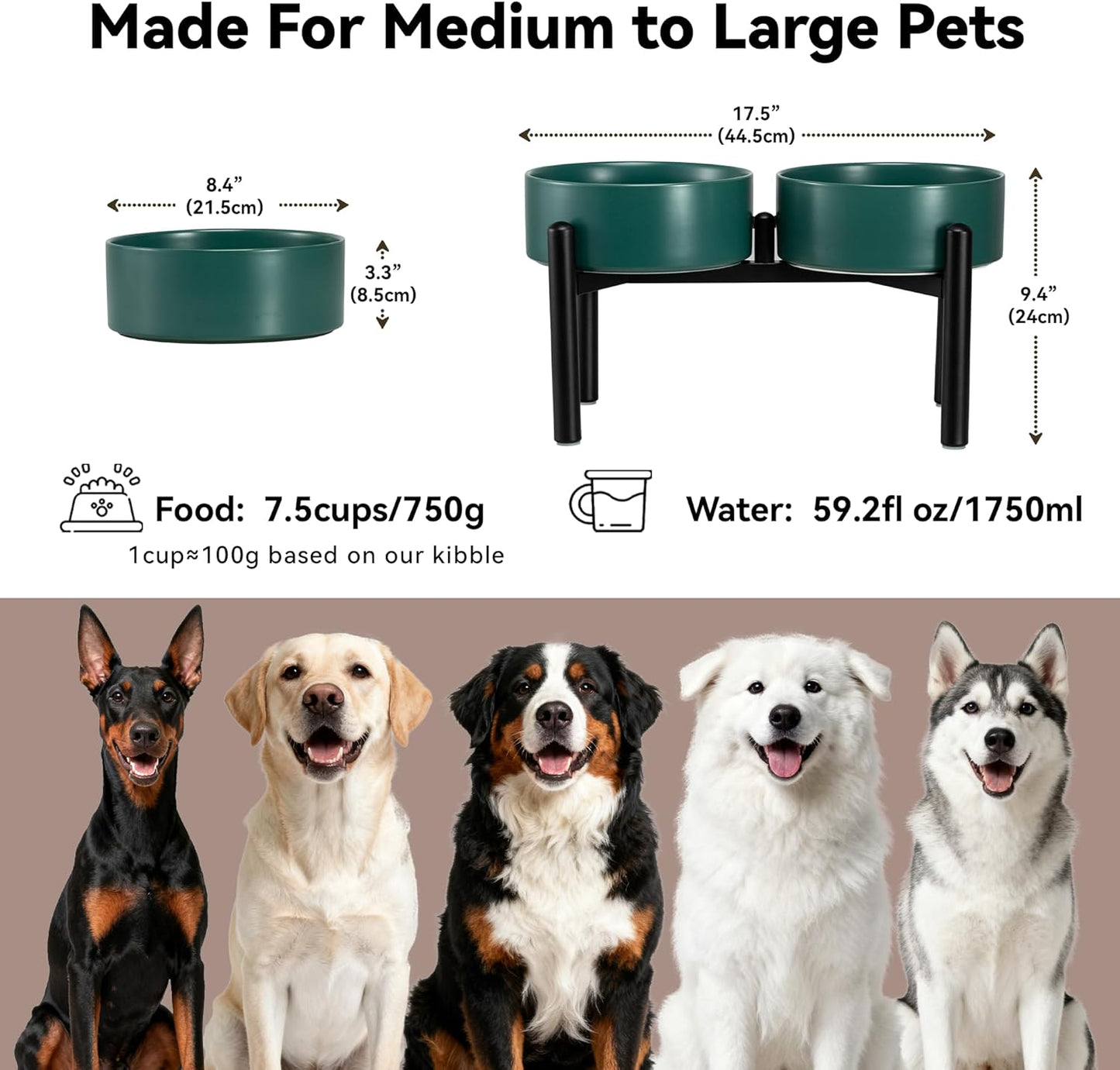 Raised Ceramic Dog Bowl Set - Elevated Double Dishes with Stainless Steel Stand - Food and Water Bowls for Small to Medium Dogs - Each Holds 3.5 Cups (29.57 fl oz) - White