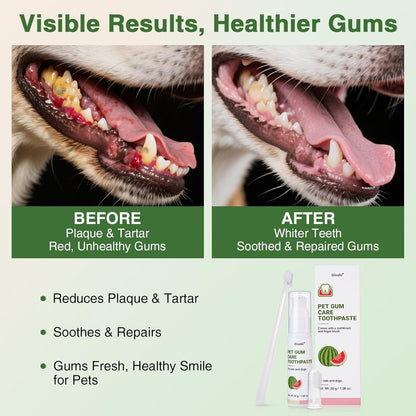 Dog Toothpaste Kit for Gum Care – Watermelon Flavor Dental Toothpaste with Finger Brush & Long-Handle Toothbrush – Reduces Plaque, Soothes Gums, Freshens Breath – Safe for Daily Use