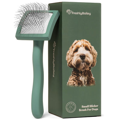 Freshly Bailey Doodle Brush for Goldendoodle, Poodle, and Labradoodle Coats - Best Slicker for Dogs With Wavy & Curly Hair - Detangle & Fluff Like a Pro - Grooming Must Haves (Large)