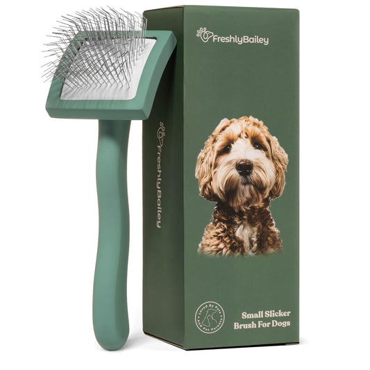 Freshly Bailey Doodle Brush for Goldendoodle, Poodle, and Labradoodle Coats - Best Slicker for Dogs With Wavy & Curly Hair - Detangle & Fluff Like a Pro - Grooming Must Haves (Large)
