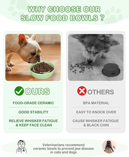 TRUVIC Ceramic Slow Feeder Dog Bowls Small Breed, 0.6 Cup Slow Feeder Cat Bowls for Fast Eaters, Ceramic Dog Food Dish no Black Chin, Puzzle Bowl for Small Dogs and Cats, White