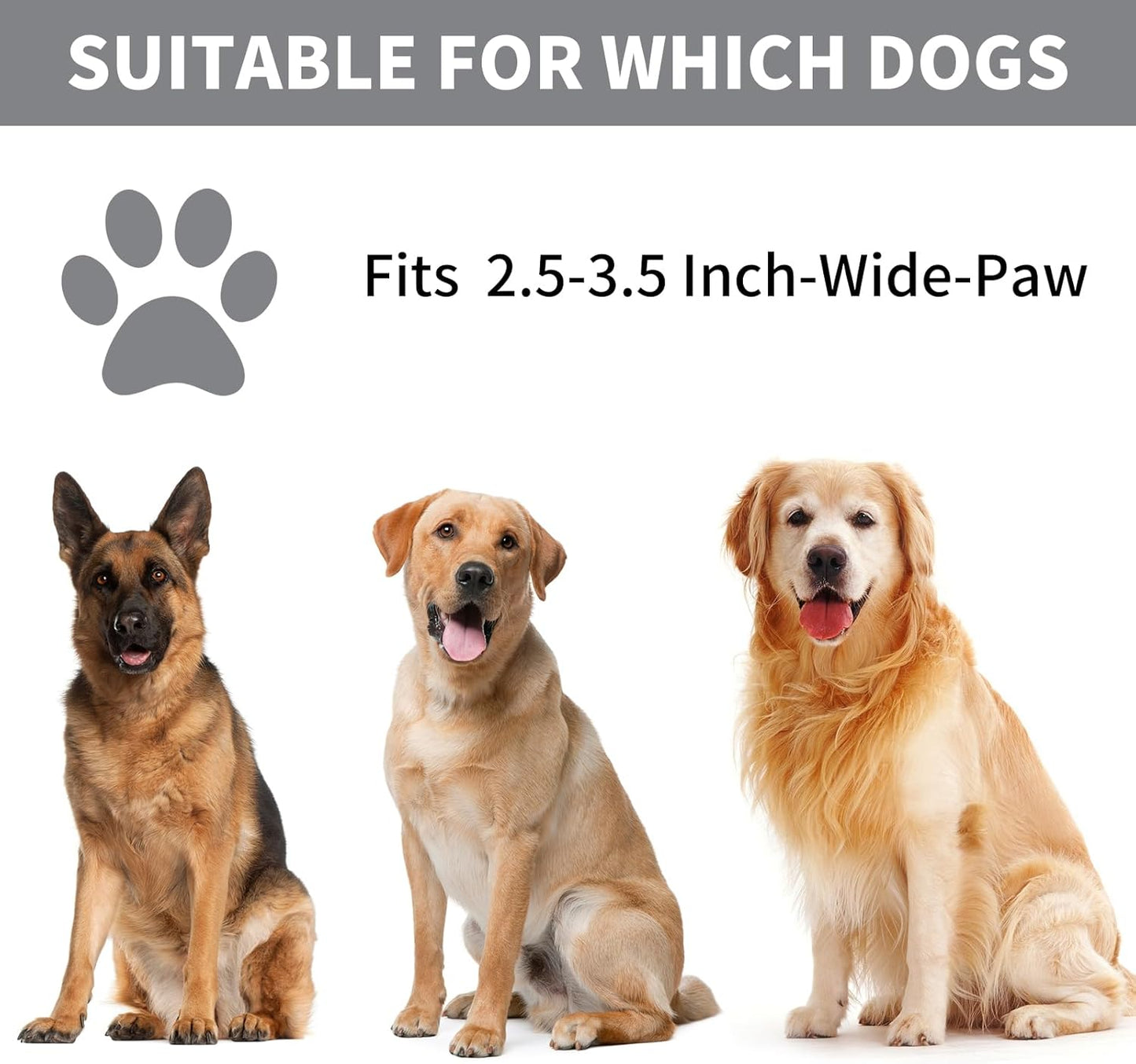 Professional 7 in 1 Dog Paw Cleaner for Dogs & Cats - Includes 1 Portable Paw Washer, 1 Bath Brush, 2 Dog Toothbrushes and 3 Absorbent Towels Note: Fits Paws up to 2 Inches Wide (Small, Blue)