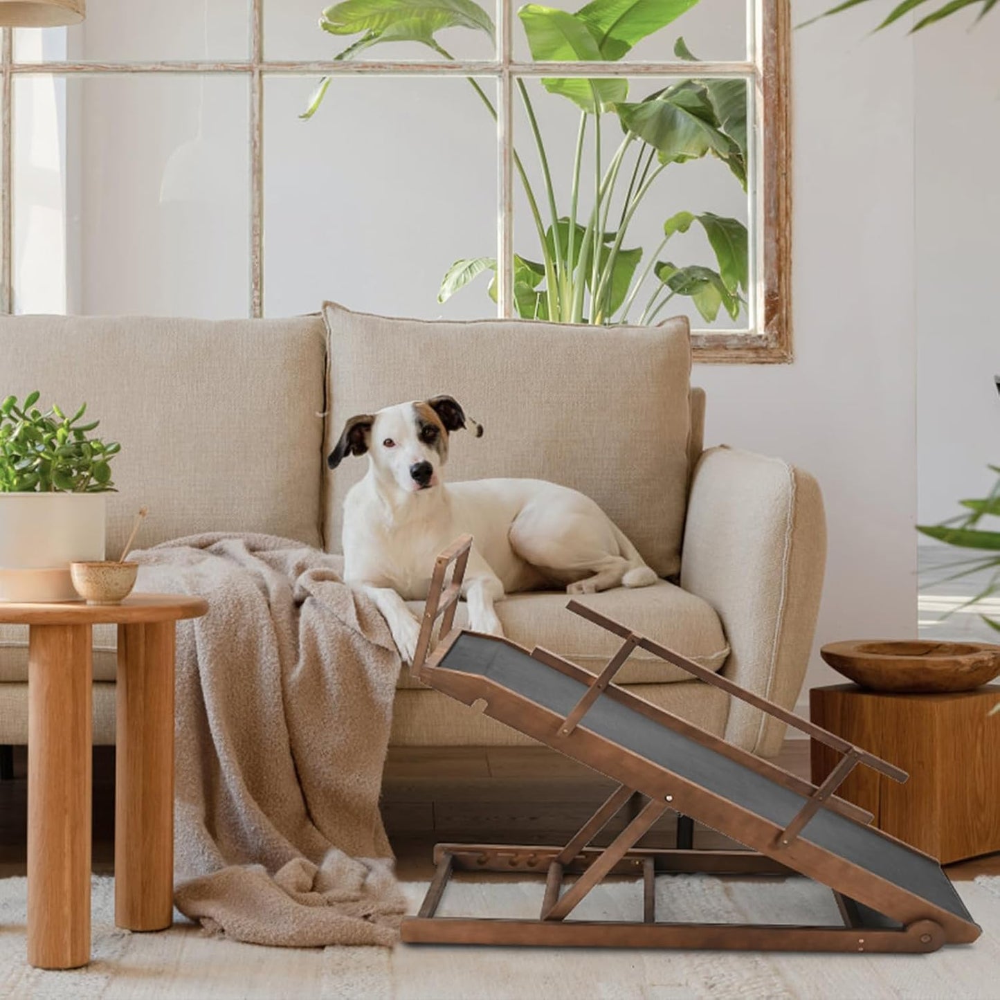 Dog Ramp for Couch, 5-Level Adjustable Wooden Pet Ramp for Bed & SUV, Adjustable Height 15.7"-23.6",Folding Non Slip Dog Ramps for Small Large Senior Dogs & Cats - Furniture Quality