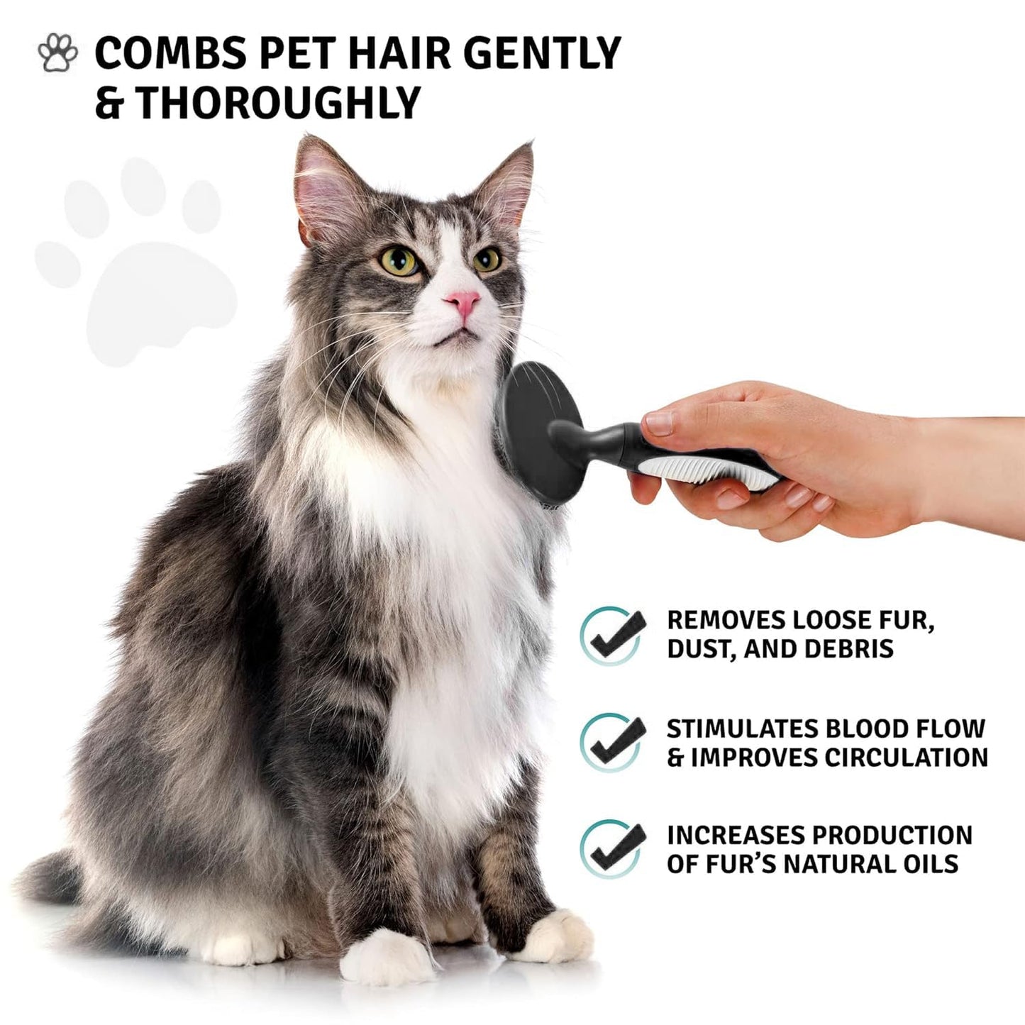Round Bristle Pet Brush for Dogs and Cats - Soft Dog Brush for Grooming Short or Long Hair - Gentle Tool for Sensitive Skin Removes Dander, Dirt, and Detangles (Purple)