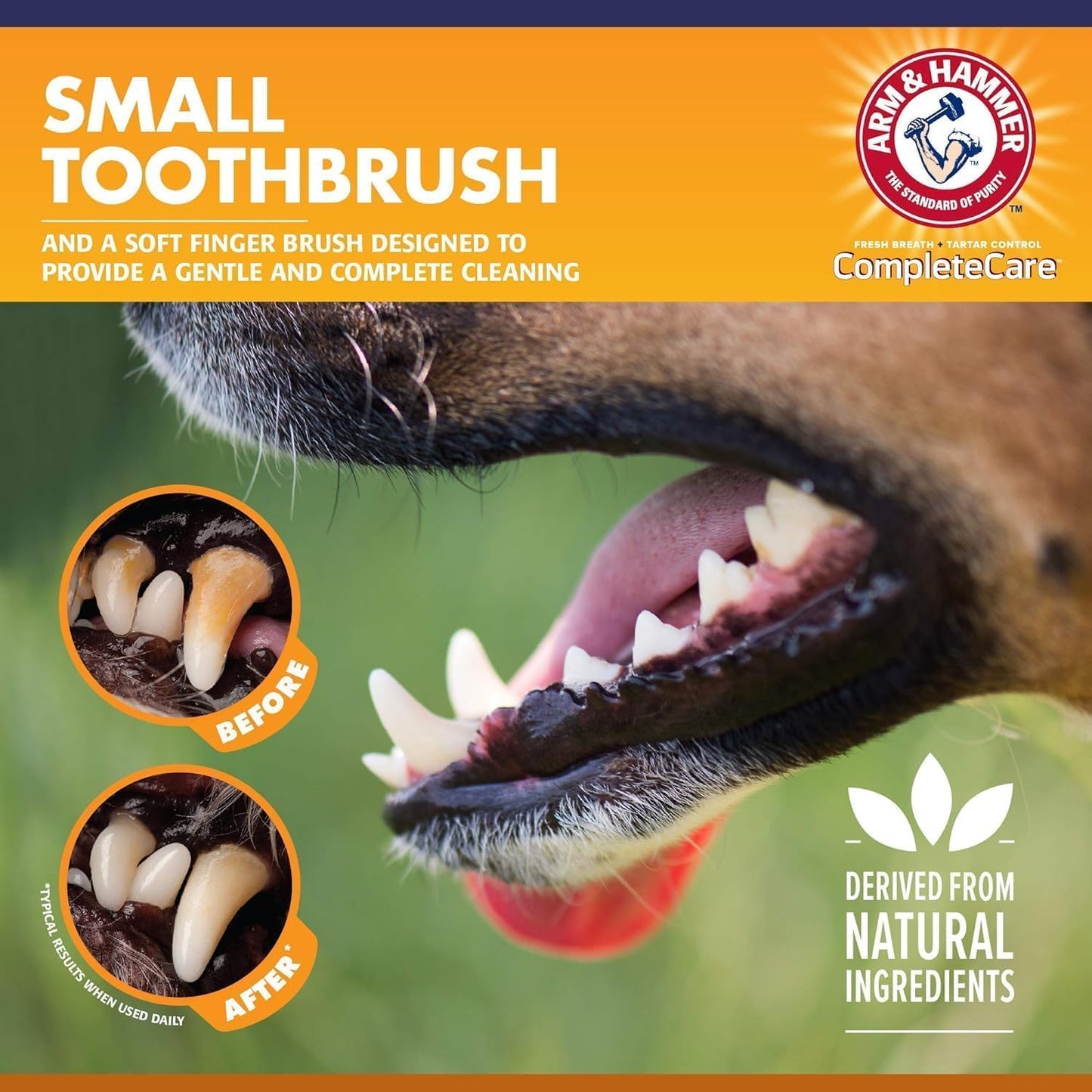 Arm & Hammer Complete Care Dog Dental Kit Enzymatic Toothpaste 2.5 OZ Chicken Flavor Toothbrush Finger Brush Tartar Baking Soda Formula