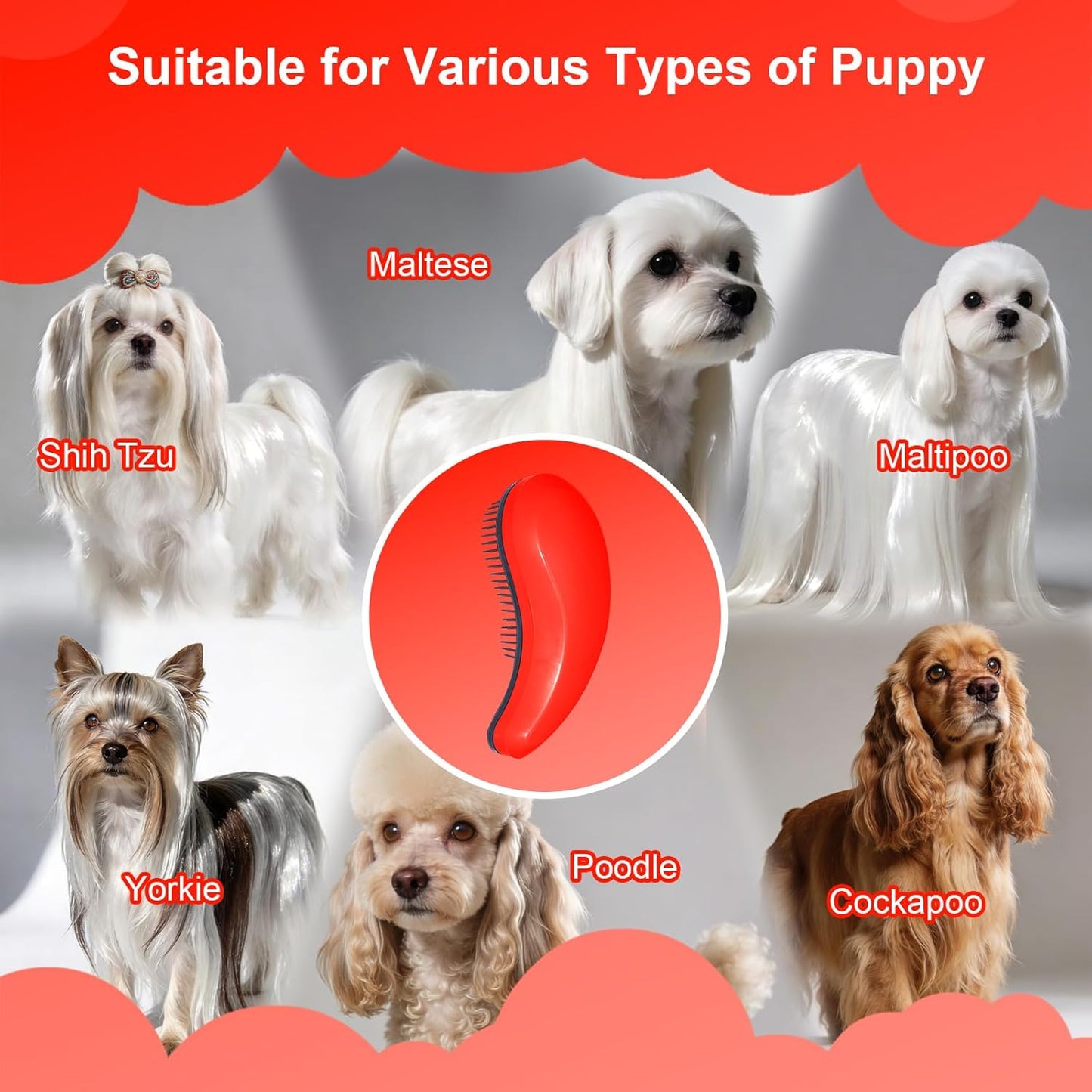 Small Dog Brush- Grooming Tool for Teddy, Yorkies, Maltese, Shih Tzu, Chihuahua - Puppy Hair Brush (Blue)