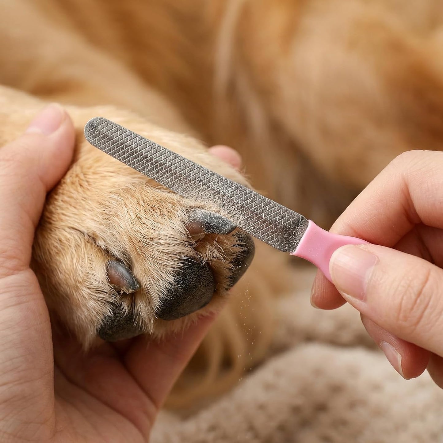 4 PCS Cat Dog Nail Clippers Trimmers Set, Professional Cats Dogs Pet Claw Clipper Sharpener and Hair Grooming Scissors Comb Tools for Small, Medium and Large Breeds, Cats, Rabbits, Guinea Pigs