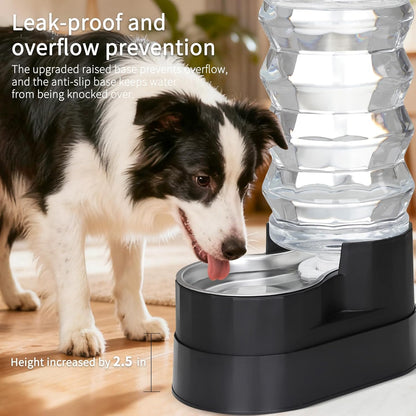 RIZZARI 8L Elevated Pet Water Dispenser – Stainless Steel Gravity Waterer with Auto-Refill Design for Medium and Large Dogs & Senior Pets -Comfortable Drinking Height for Living Rooms,Multi-Pet Homes