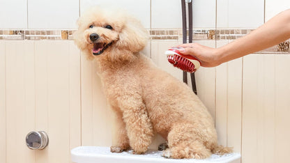 CHI for Dogs 2 in 1 Dematting and Deshedding Rake, Dual Head Dog Grooming Tool with Wide Tooth Dematting Rake and Fine Deshedding Rake, Detangler Comb for Thick Double and Long Dog Coat
