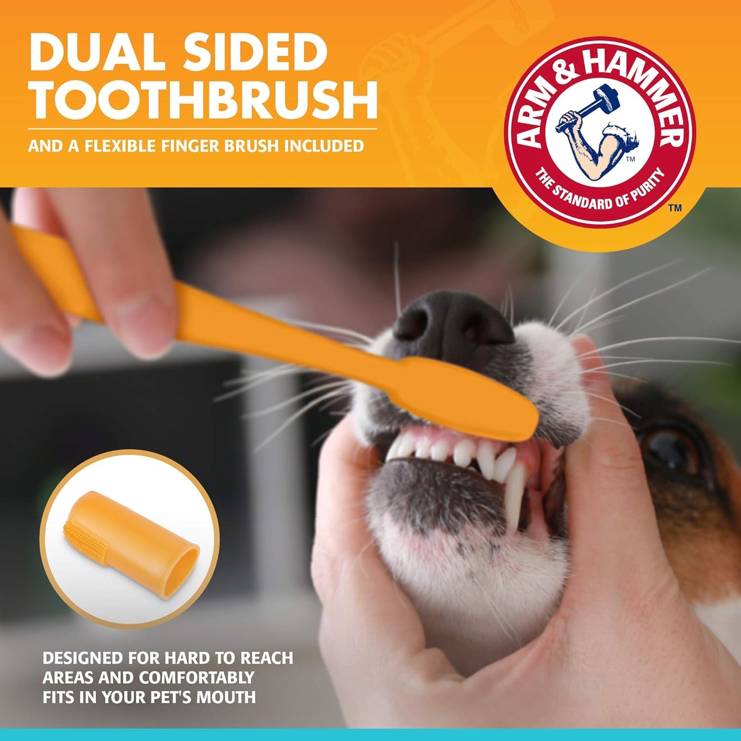 Arm & Hammer for Pets Enzymatic Dog Dental Care Kit, Chicken Flavor Toothpaste with Baking Soda for Plaque, Tartar, and Bad Breath, Double-Sided Toothbrush and Finger Brush Included, 2.5 Oz