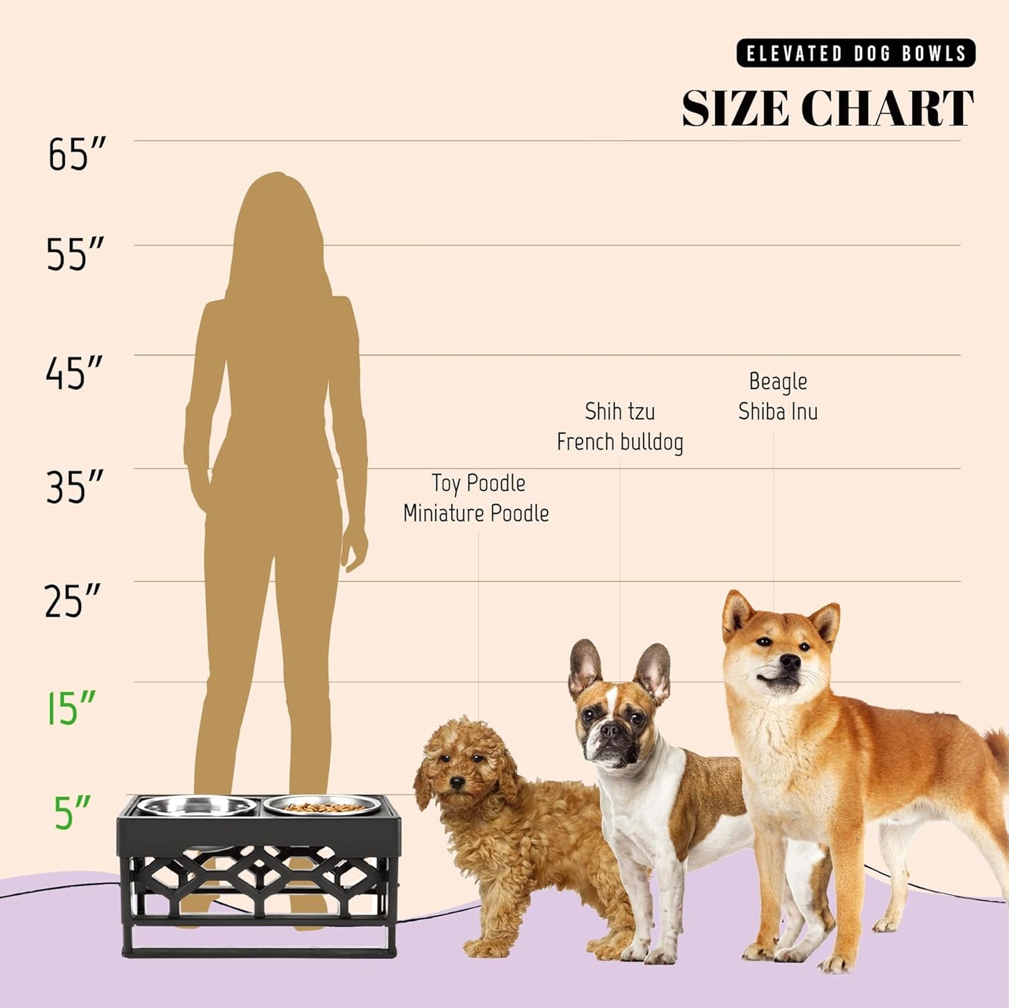 AVERYDAY Elevated Dog Bowls, 4 Height Adjustable Stand for Medium and Large Dogs, Raised Dog Feeder Holder with 2 Stainless Steel Food and Water Bowls, Anti-Slip Base Tall Feeding Station