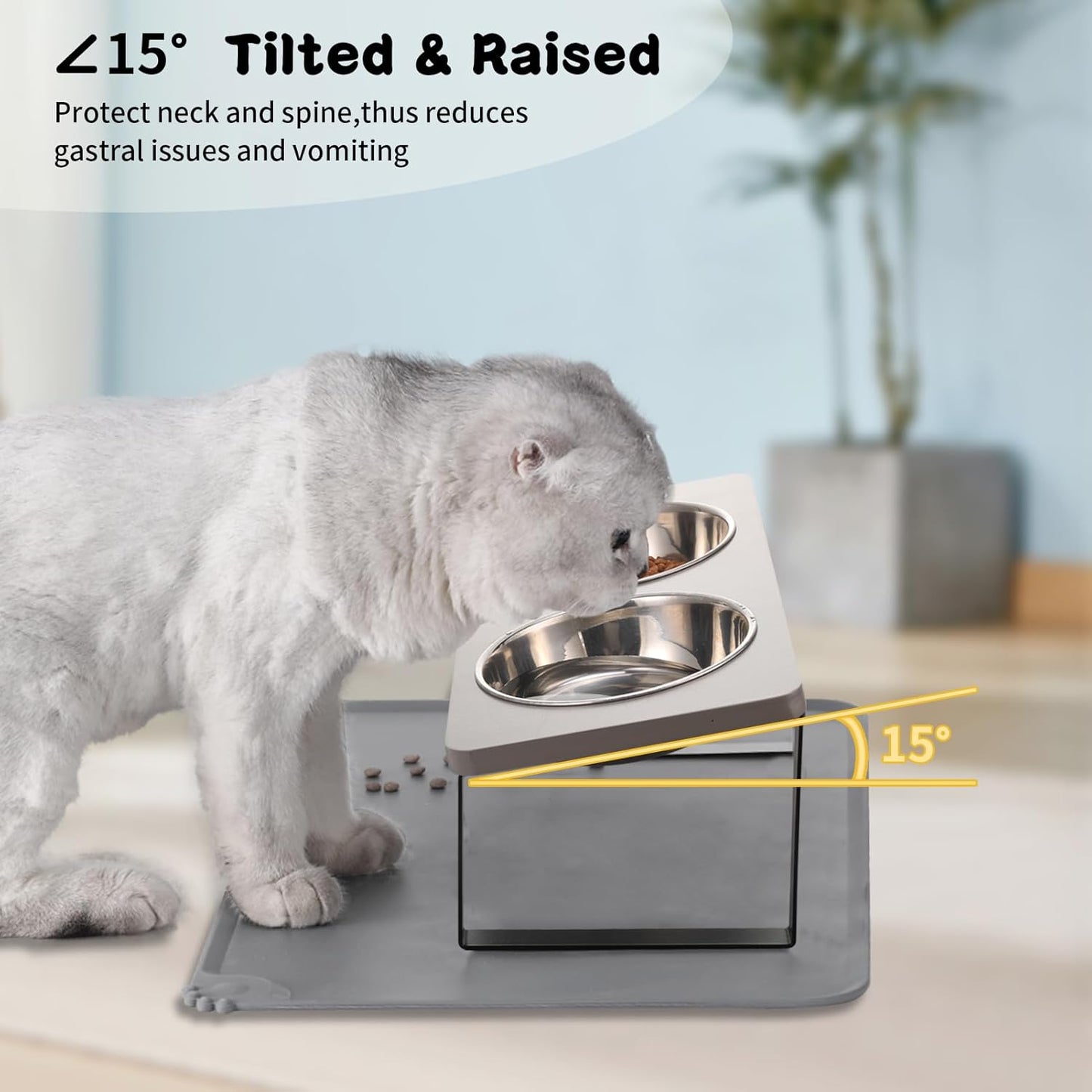 Upgraded Elevated Cat Bowls with Food Mat,15°Tilted Stand Anti Vomiting Raised Cat Dishes for Food and Water,2 Stainless Steel Bowls for Cats and Puppy