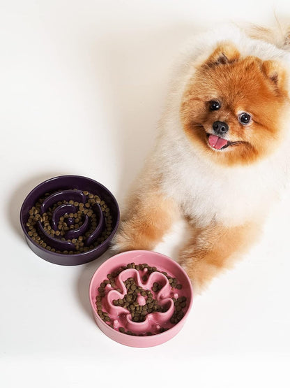 LE TAUCI Dog Bowls Slow Feeder Ceramic, 1.5 Cup Slow Feeding Bowl for Small and Medium Breed, Puzzle Dog Food Bowl for Fast Eater, Maze Purple