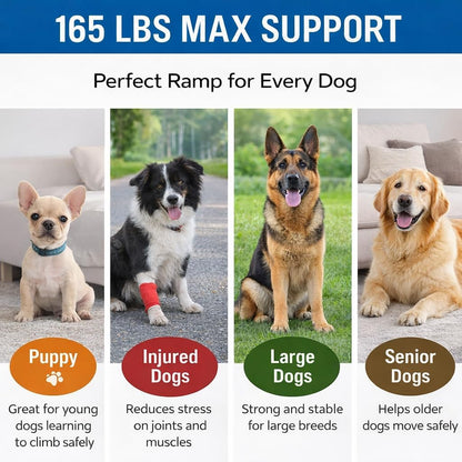 Japard Dog Ramp for Car, 63" Long & 17" Wide Folding Portable Pet Stair Ramp with Non-Slip Rug Surface, Extra Wide Dog Steps for Medium & Large Dogs Up to 165LBS Enter a Car, SUV & Truck