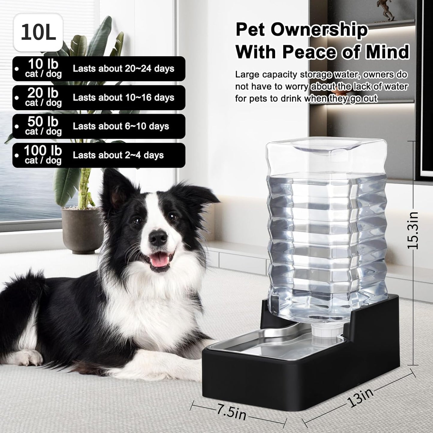 RIZZARI 10L Stainless Steel Dog Water Dispenser – Large Capacity Gravity Auto-Refill Waterer with Anti-Tip Design for Large Dogs, Ideal for Living Rooms, Offices & Indoor Pet Spaces