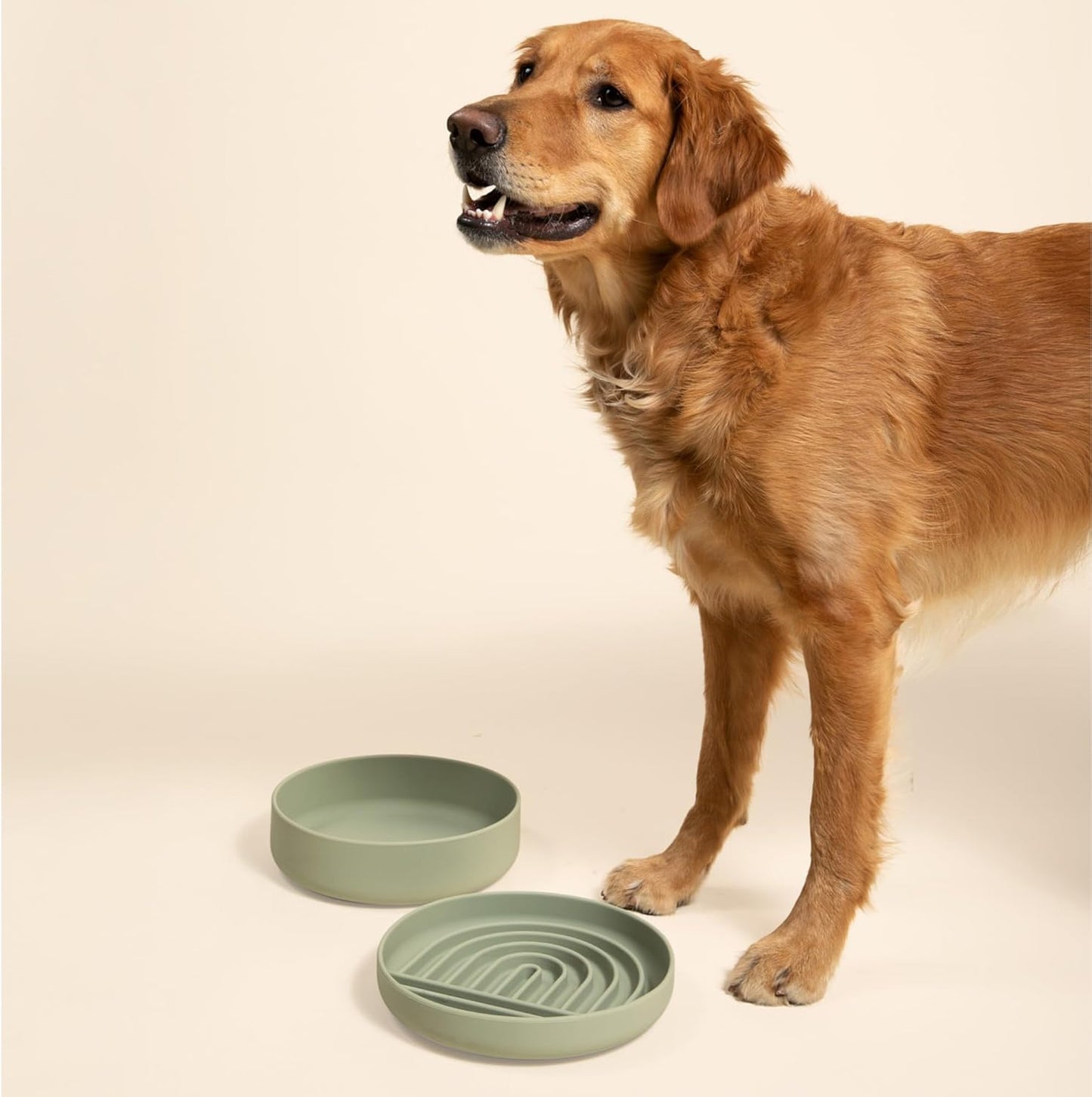 Should We Go? Slow Feeder for Dogs & Puppies, The Slowdown Bowl Silicone Slow Eating, Modern Lick Mat Design, Reduces Gulping, Fits 2 Cups, 7.5” Across x 1.5” Tall, Mealtime Challenge, Medium-Blush