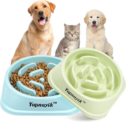 2 Pack Slow Feeder Dog Bowls for Healthy Eating, Non-Slip and Anti-Choking Design, Reduces Bloating & Overeating for Medium Dogs and Cats, Easy to Clean
