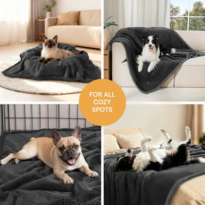 Waterproof Pet Blanket, Liquid Pee Proof Dog Blanket for Sofa Bed Couch, Reversible Sherpa Fleece Furniture Protector Cover for Small Medium Large Dogs Cats, Dark Gray Small（40" x 28"） | waterproof pet blanket sherpa fleece reversible couch cover bed