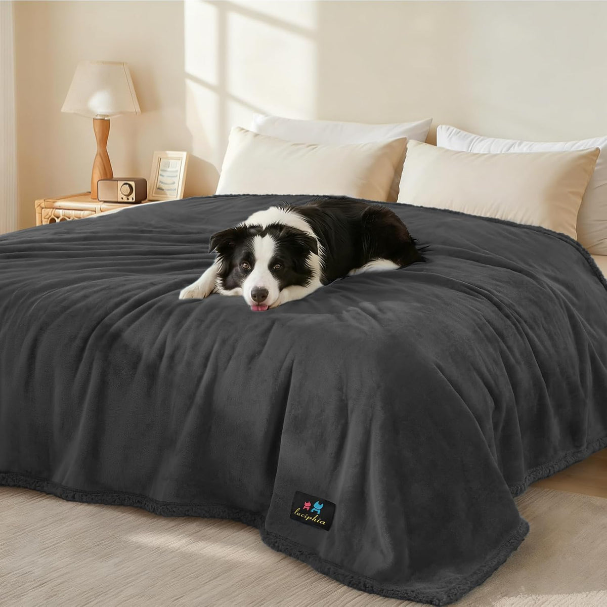 Waterproof Pet Blanket, Liquid Pee Proof Dog Blanket for Sofa Bed Couch, Reversible Sherpa Fleece Furniture Protector Cover for Small Medium Large Dogs Cats, Dark Gray Small（40" x 28"） | waterproof pet blanket sherpa fleece reversible couch cover bed
