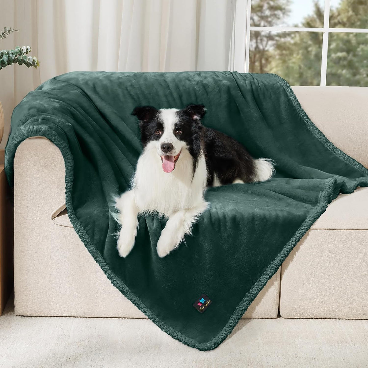 Waterproof Pet Blanket, Liquid Pee Proof Dog Blanket for Sofa Bed Couch, Reversible Sherpa Fleece Furniture Protector Cover for Small Medium Large Dogs Cats, Dark Gray Small（40" x 28"） | waterproof pet blanket sherpa fleece reversible couch cover bed