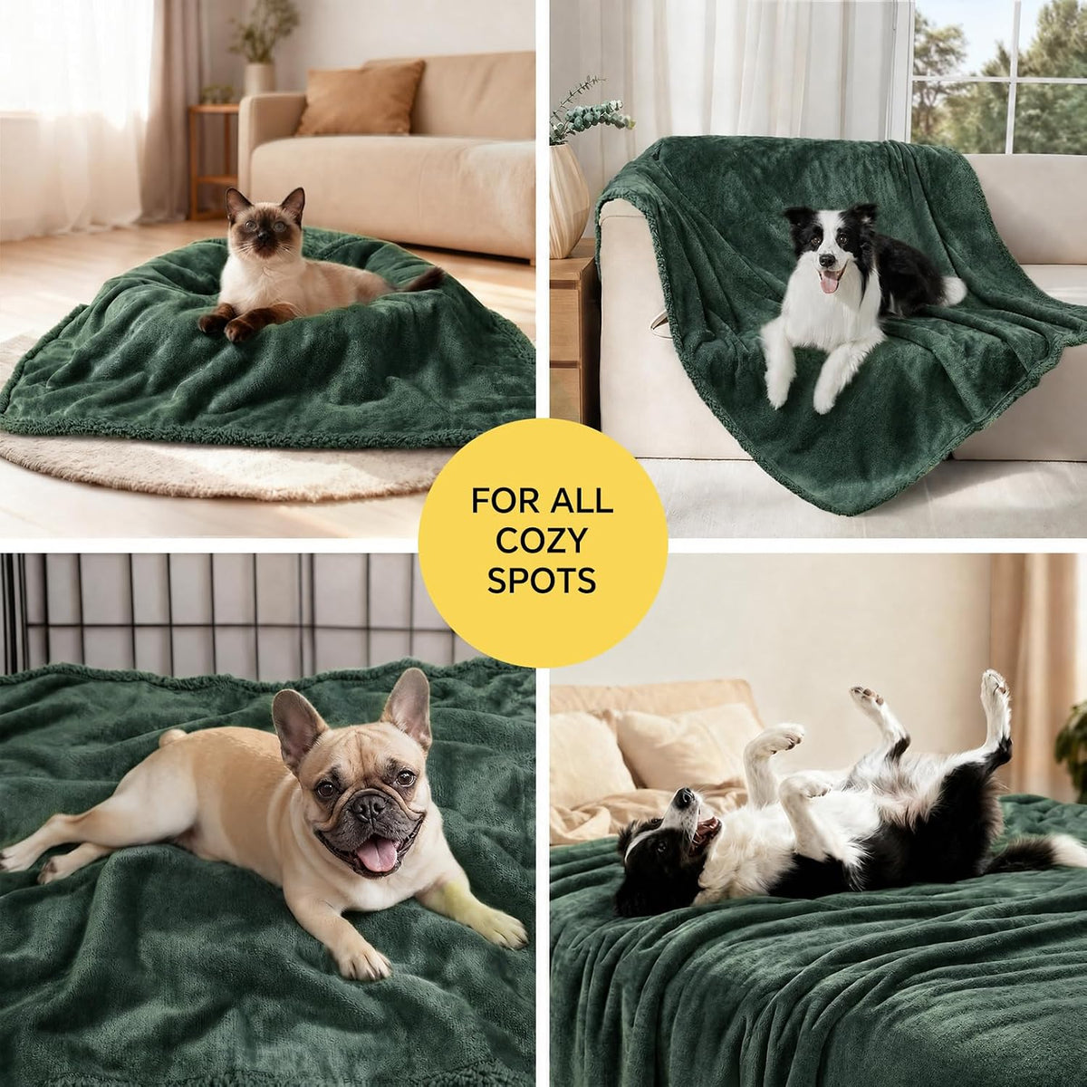 Waterproof Pet Blanket, Liquid Pee Proof Dog Blanket for Sofa Bed Couch, Reversible Sherpa Fleece Furniture Protector Cover for Small Medium Large Dogs Cats, Dark Gray Small（40" x 28"） | waterproof pet blanket sherpa fleece reversible couch cover bed