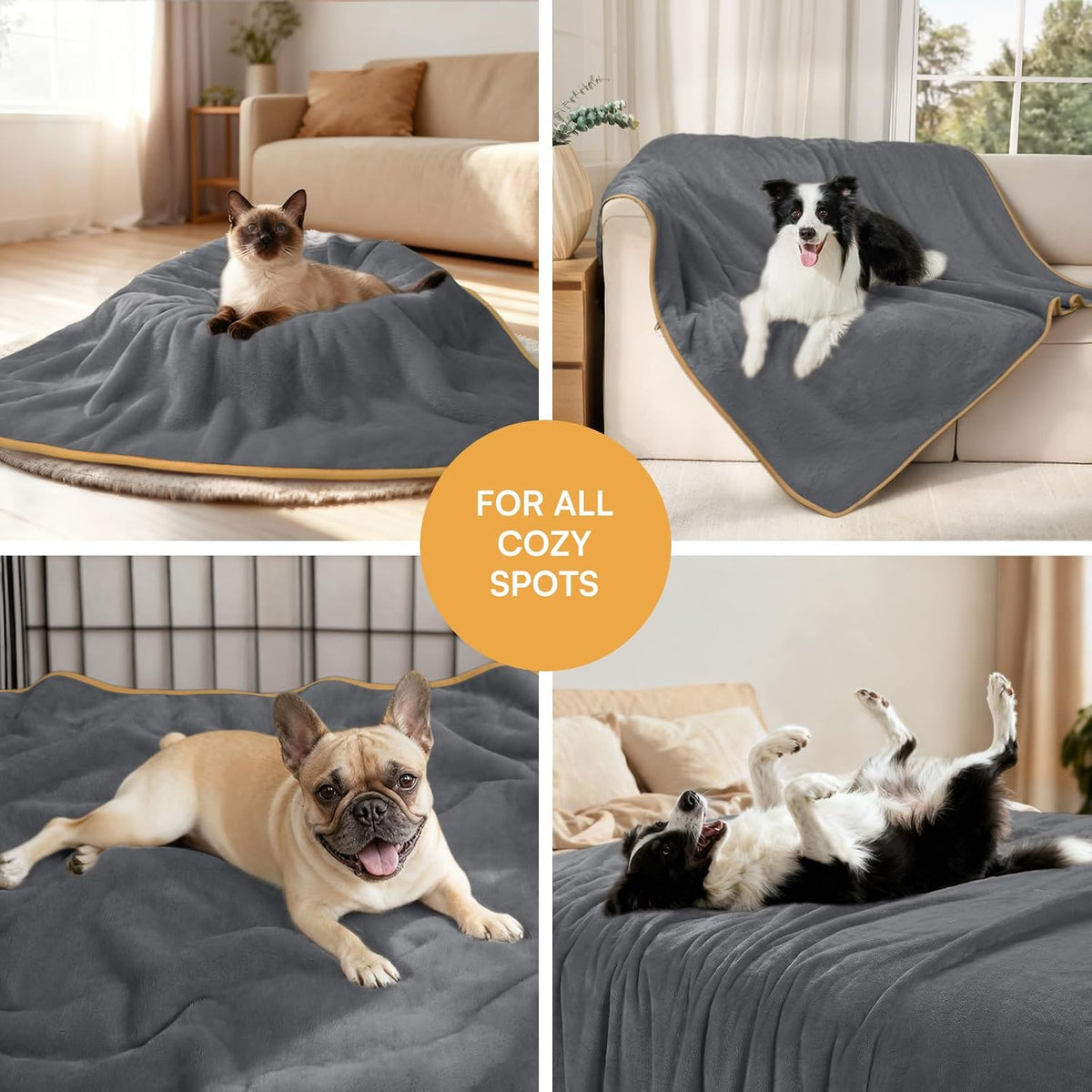 Waterproof Pet Blanket, Liquid Pee Proof Dog Blanket for Sofa Bed Couch, Reversible Sherpa Fleece Furniture Protector Cover for Small Medium Large Dogs Cats, Dark Gray Small（40" x 28"） | waterproof pet blanket sherpa fleece reversible couch cover bed