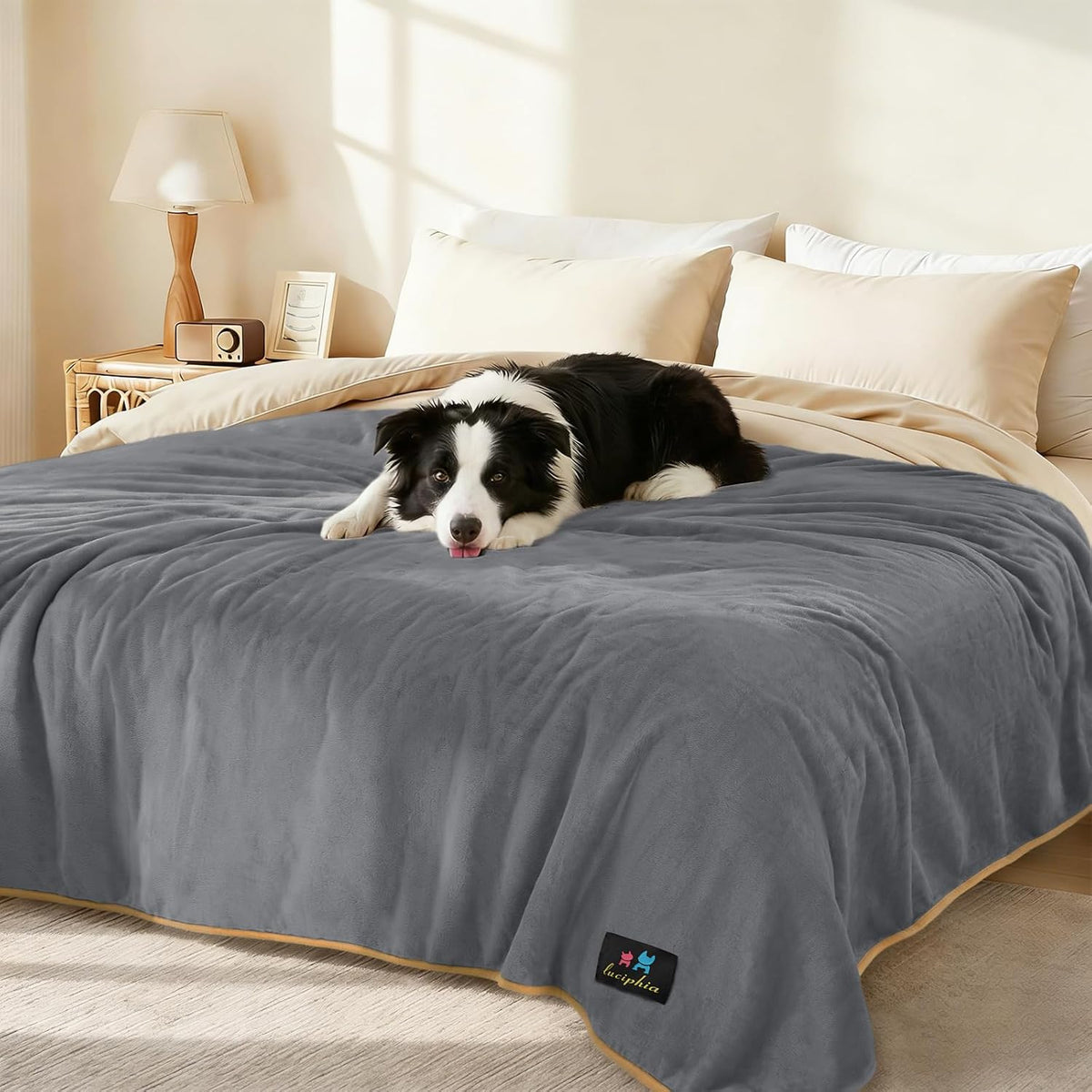 Waterproof Pet Blanket, Liquid Pee Proof Dog Blanket for Sofa Bed Couch, Reversible Sherpa Fleece Furniture Protector Cover for Small Medium Large Dogs Cats, Dark Gray Small（40" x 28"） | waterproof pet blanket sherpa fleece reversible couch cover bed
