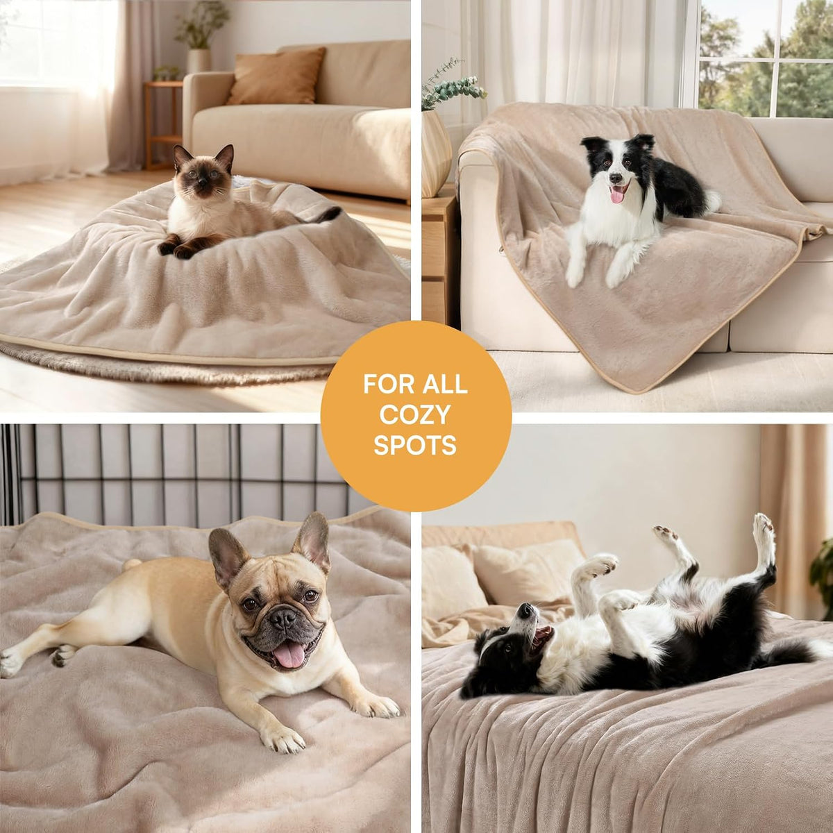 Waterproof Pet Blanket, Liquid Pee Proof Dog Blanket for Sofa Bed Couch, Reversible Sherpa Fleece Furniture Protector Cover for Small Medium Large Dogs Cats, Dark Gray Small（40" x 28"） | waterproof pet blanket sherpa fleece reversible couch cover bed