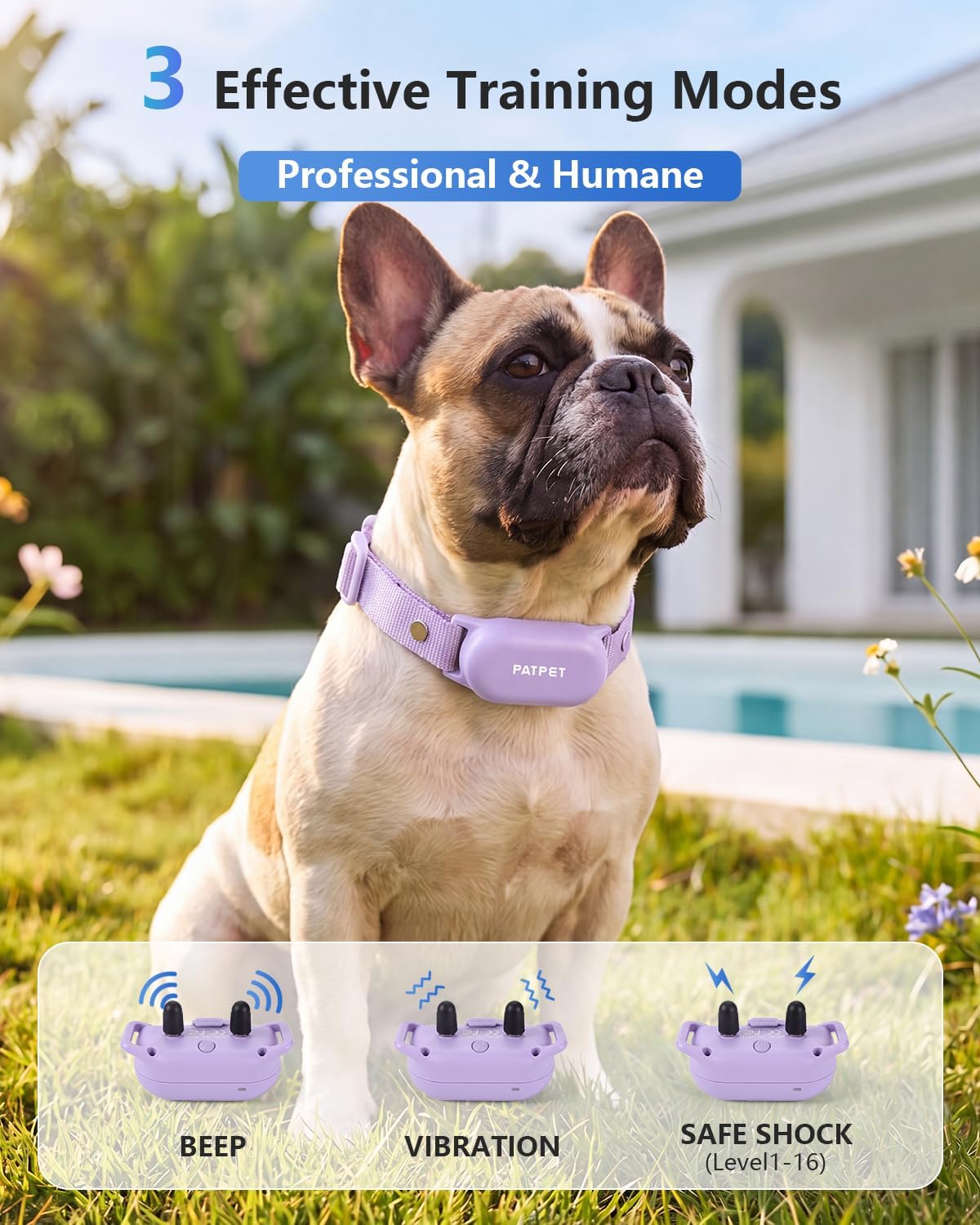 Dog Shock Collar with Remote Control - 4000FT Safe Training Collar