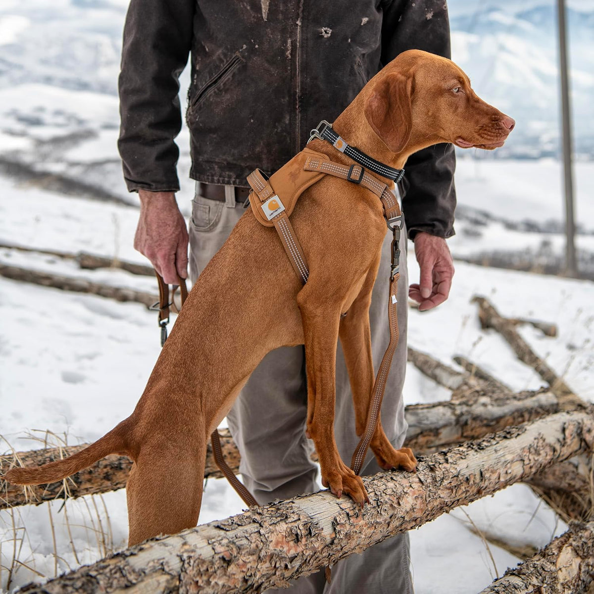 Nylon Duck No Pull Dog Harness Brown M