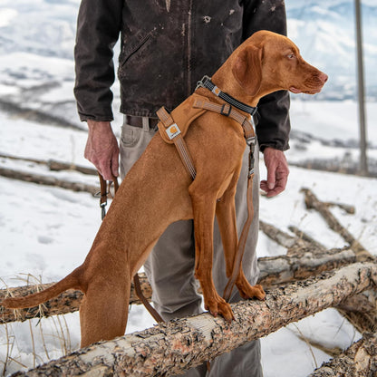 Nylon Duck No Pull Dog Harness Brown M