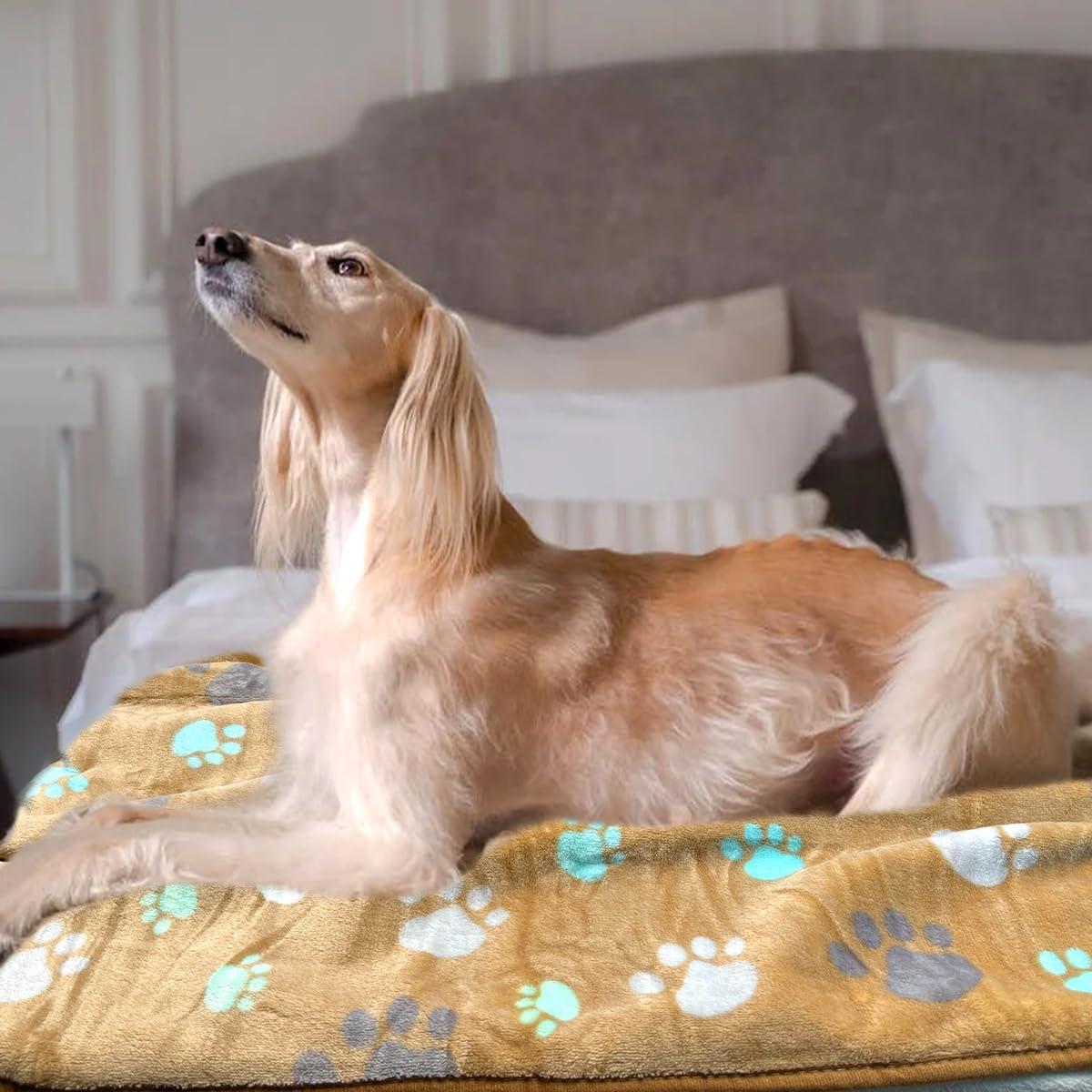 Dog Blankets for Medium Large Dogs, 3 Pack Dog Blanket Washable 41" x 31", Fuzzy Soft Pet Mat Throw Cover for Kennel Crate Bed, Cute Paw Pattern, Cat Blanket, Blankets for Dogs, Pet Blanket