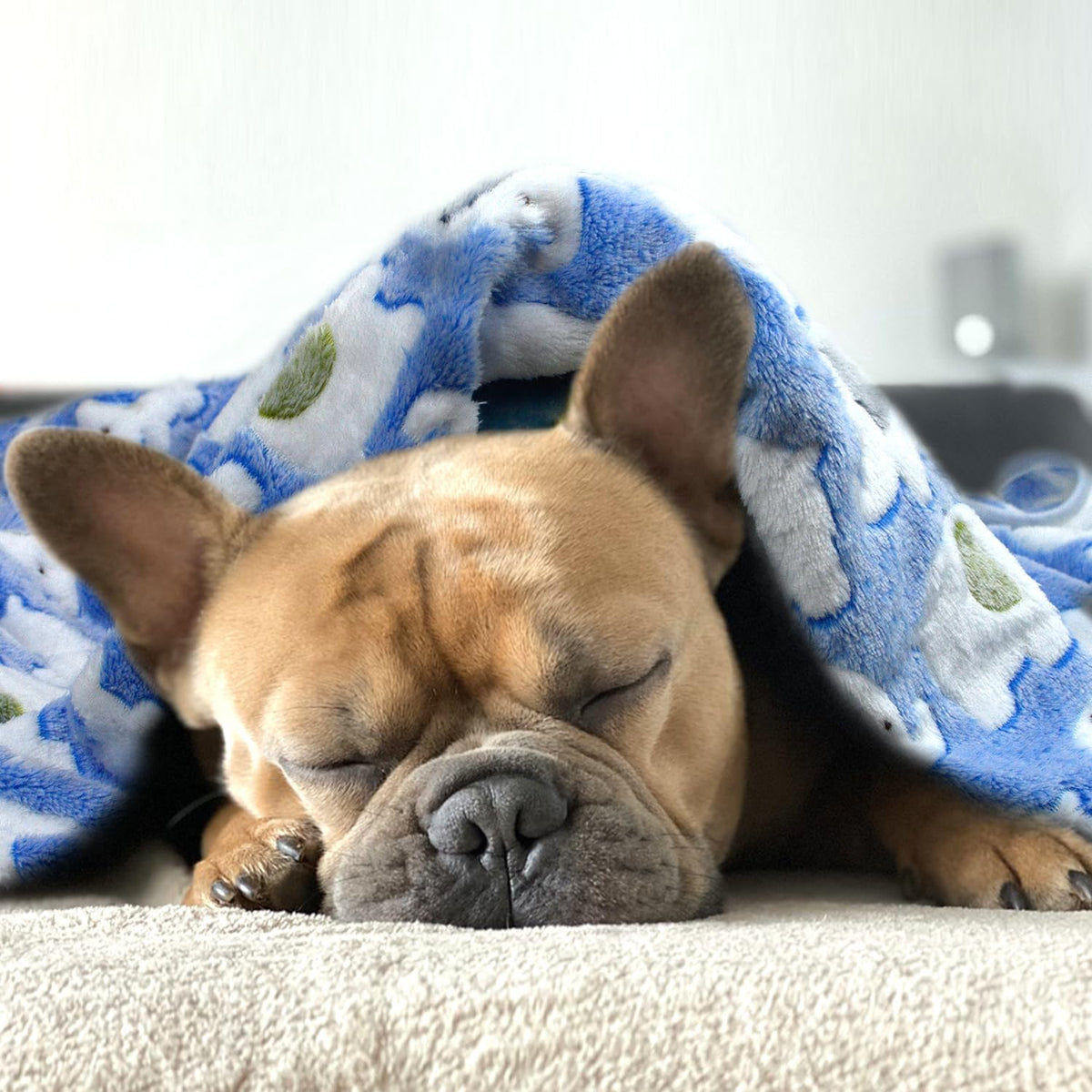 Dog Blankets for Medium Large Dogs, 3 Pack Dog Blanket Washable 41" x 31", Fuzzy Soft Pet Mat Throw Cover for Kennel Crate Bed, Cute Paw Pattern, Cat Blanket, Blankets for Dogs, Pet Blanket