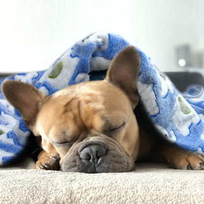 Dog Blankets for Medium Large Dogs, 3 Pack Dog Blanket Washable 41" x 31", Fuzzy Soft Pet Mat Throw Cover for Kennel Crate Bed, Cute Paw Pattern, Cat Blanket, Blankets for Dogs, Pet Blanket