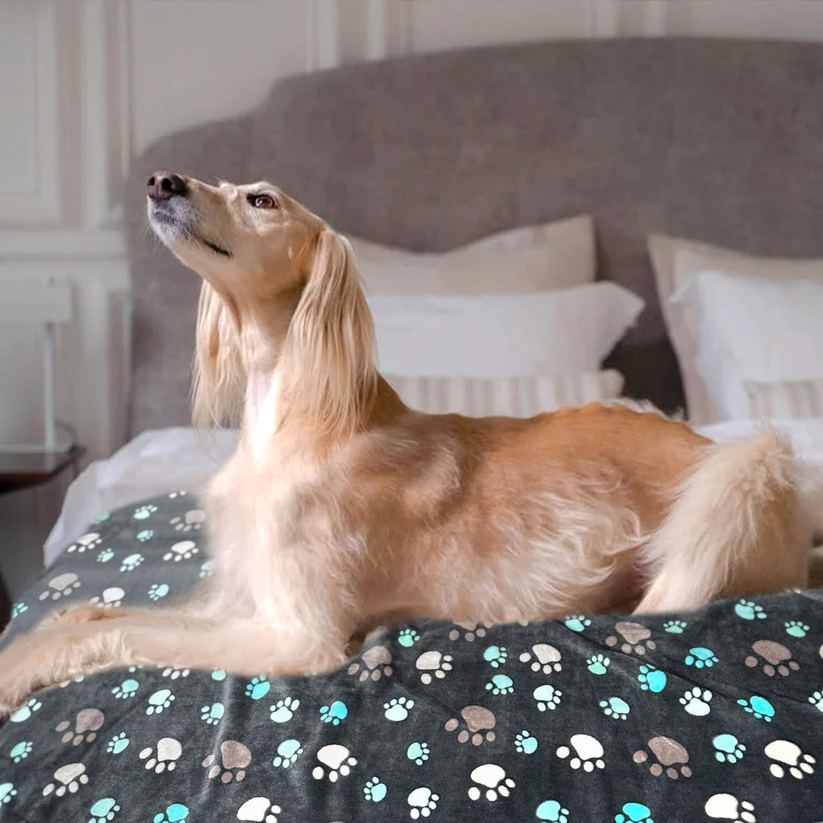 Dog Blankets for Medium Large Dogs, 3 Pack Dog Blanket Washable 41" x 31", Fuzzy Soft Pet Mat Throw Cover for Kennel Crate Bed, Cute Paw Pattern, Cat Blanket, Blankets for Dogs, Pet Blanket