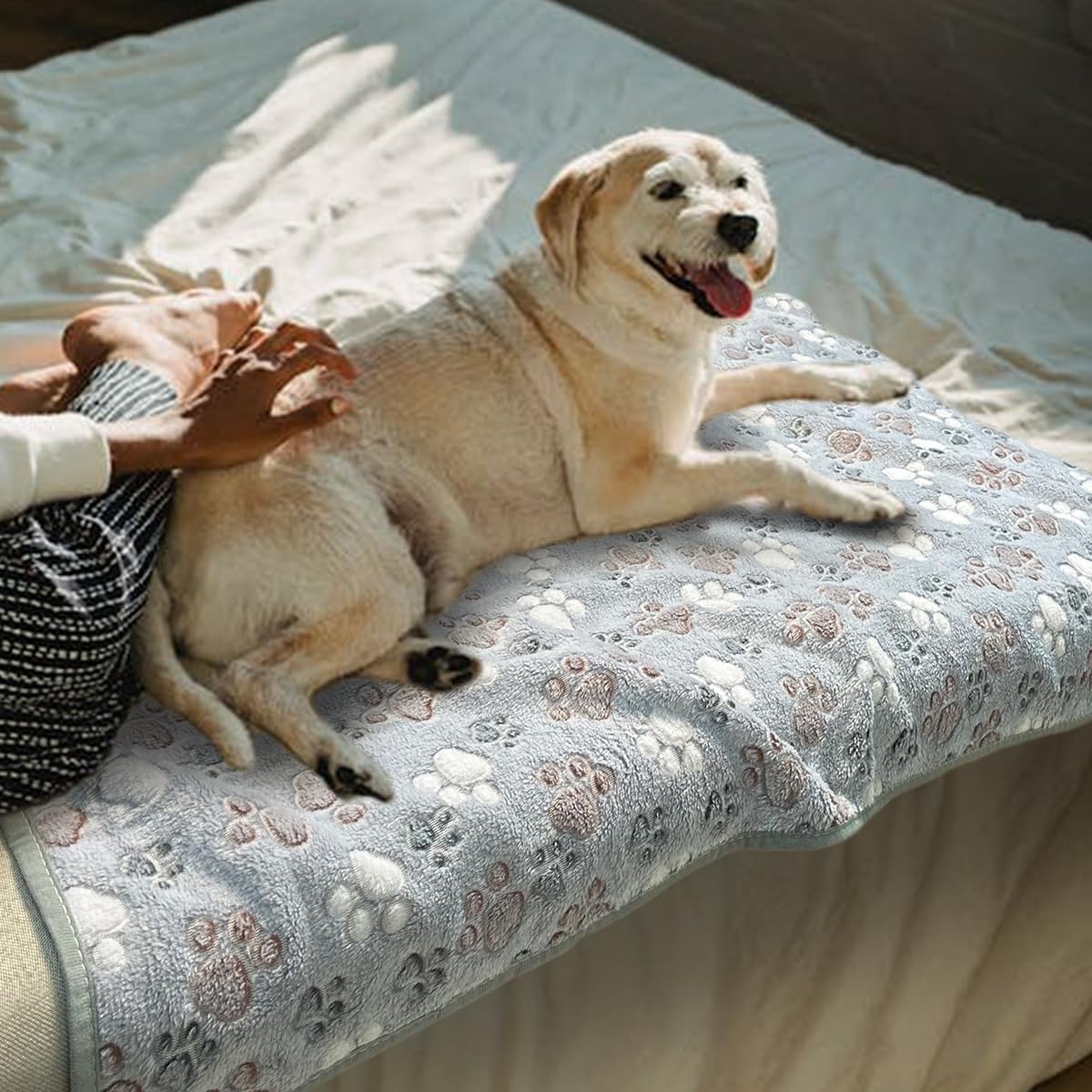 Dog Blankets for Medium Large Dogs, 3 Pack Dog Blanket Washable 41" x 31", Fuzzy Soft Pet Mat Throw Cover for Kennel Crate Bed, Cute Paw Pattern, Cat Blanket, Blankets for Dogs, Pet Blanket